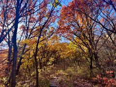 -玉渡山自然风景区