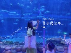 -华夏文旅海洋公园