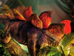 -恐龙探索乐园(磁器口店)