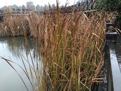 -苏体天云湖运动度假村