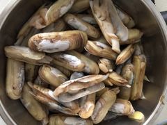 海蛏子-韩家墅海吉星农产品批发市场