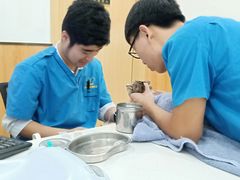 -菲丽丝宠物医院·24小时·猫科中心·免疫点(淮海分院)