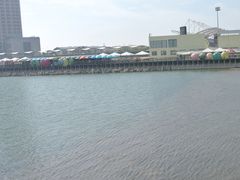 -碧海金沙