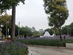 -深圳湾公园(南山区)