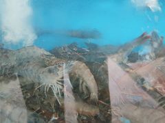 -阿弟特色海鲜餐厅·大排档(平潭店)