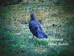 -上海市龙华烈士陵园