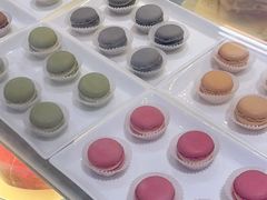 -COVA(平安金融中心店)