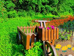 -黑龙江省森林植物园