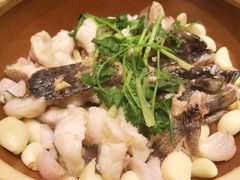 碎蒸深海石斑鱼-天伦里餐厅(绿城桃花源店)