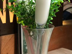 -探窝·竹笙椰子鸡(杨箕店)