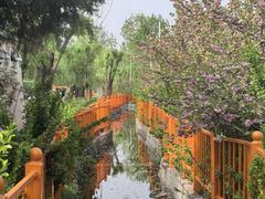 -太阳宫公园