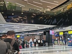 -谢列梅捷沃国际机场