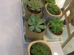 -易改衣·专业衣物奢护中心(珠江新城猎德店)