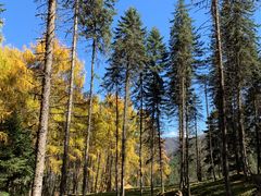 -硗碛藏寨·神木垒景区