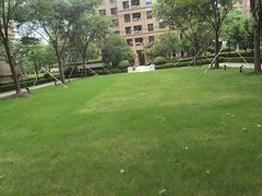 -融创·外滩壹号院