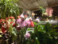 -春暖花开(西溪店)