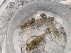 -DGE季风钓虾营地·团建·聚会