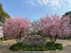 -上海海湾国家森林公园