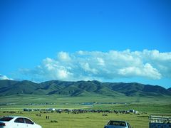 -青海湖国家重点风景名胜区