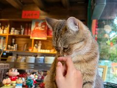 -新月集庭院咖啡馆(老邮局店)