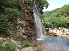 -龙道沟景区