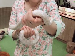 -藦茜花园宠物主题亲子互动体验馆(国顺东路店)