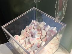 -狐狸和向日葵(北京路店)