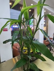 -蓝调造型·烫发·染发