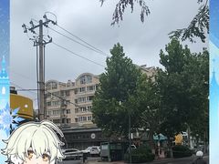 -碧露轩·大益茶体验馆(镇江路店)