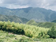 -江南天池