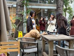 -VOYAGE COFFEE 咖啡烘焙工坊店(798艺术区店)