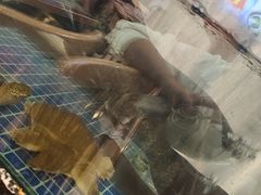 -浔味·山屿湖·正宗淳牌全鱼宴老字号