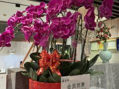 -康逸居·始于2002(海安店)