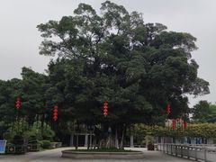 -南海神庙