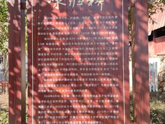 -中国庆元廊桥博物馆