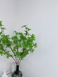 -变美丽半永久纹眉连锁·机器野生眉·洗眉