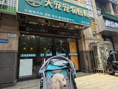 -天宠宠物医院24小时·急重症诊疗中心·全科·腔镜特色(和平分院)