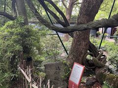 -绮园景区
