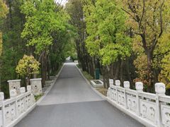 -同里国家湿地公园
