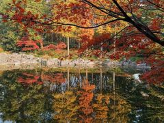-中共上海市委党校 上海行政学院