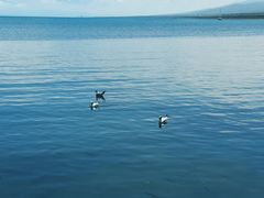 -青海湖二郎剑景区