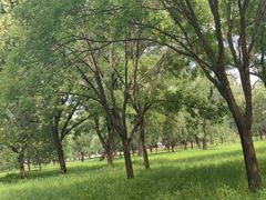 -承德避暑山庄景区