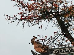-光孝寺