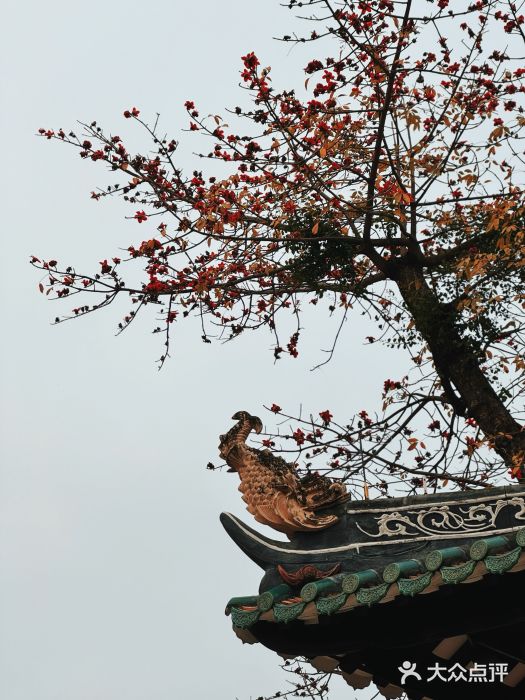 光孝寺图片