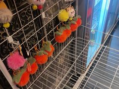 -巴依老爷新疆美食(清华东门店)