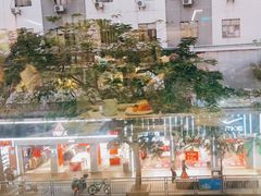 -野妹火锅(龙岗店)