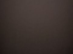 -东道煮牛肉火锅(重庆路店)