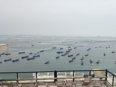 -枸杞岛