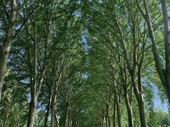 -河南省黄河迎宾馆