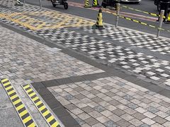 -东方体育中心(地铁站)